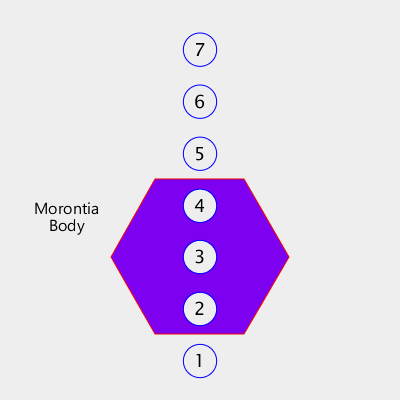 Morontia Body