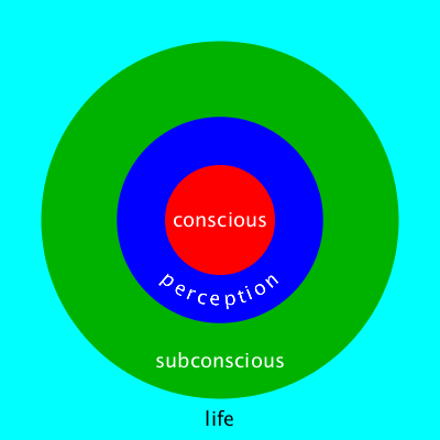 Consciousness